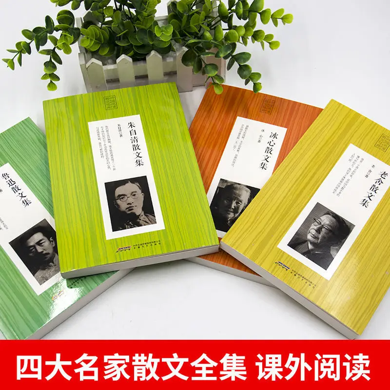 4 Books Chinese Classic Essays Lu Xun Zhu Ziqing Lao She Bing Xin / Chinese Famous Fiction Novel Book Book Sets In English Book