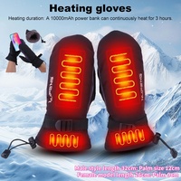 Electric Heating Gloves Touch Screen Outdoor Riding Skiing Mitten USB Charging Heated Gloves for Backpacking Mountaineering