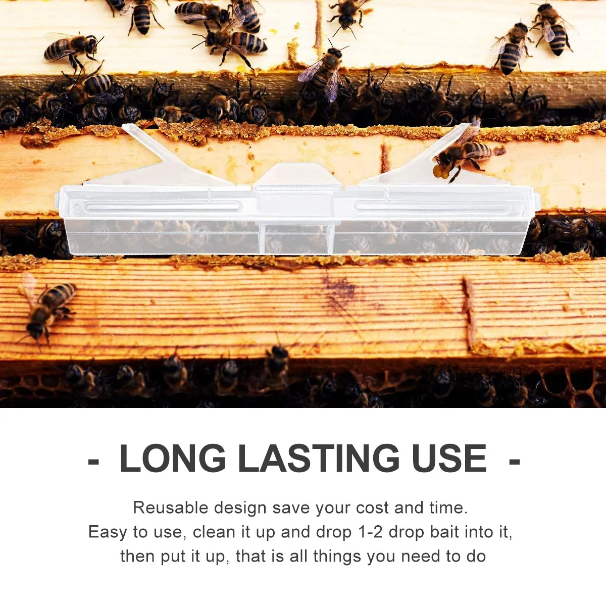12pcs Beetle Trap Reusable Plastic Honeycomb Design Portable Beekeeping Tool Prevent Harm Wide Coverage Garden Supplies