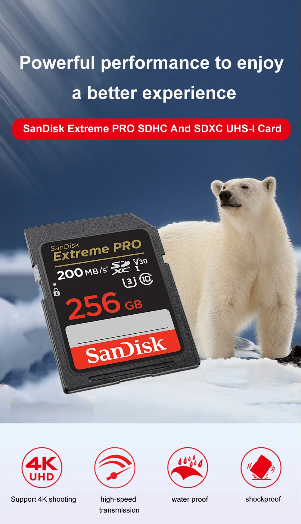 SanDisk Ultra/Extreme PRO UHS-I Karte 32GB 64GB 128GB 256GB SD-Karte C10 Flash-Speicherkarte SD U3 4K V30 Karten für Kamera – Detail 1