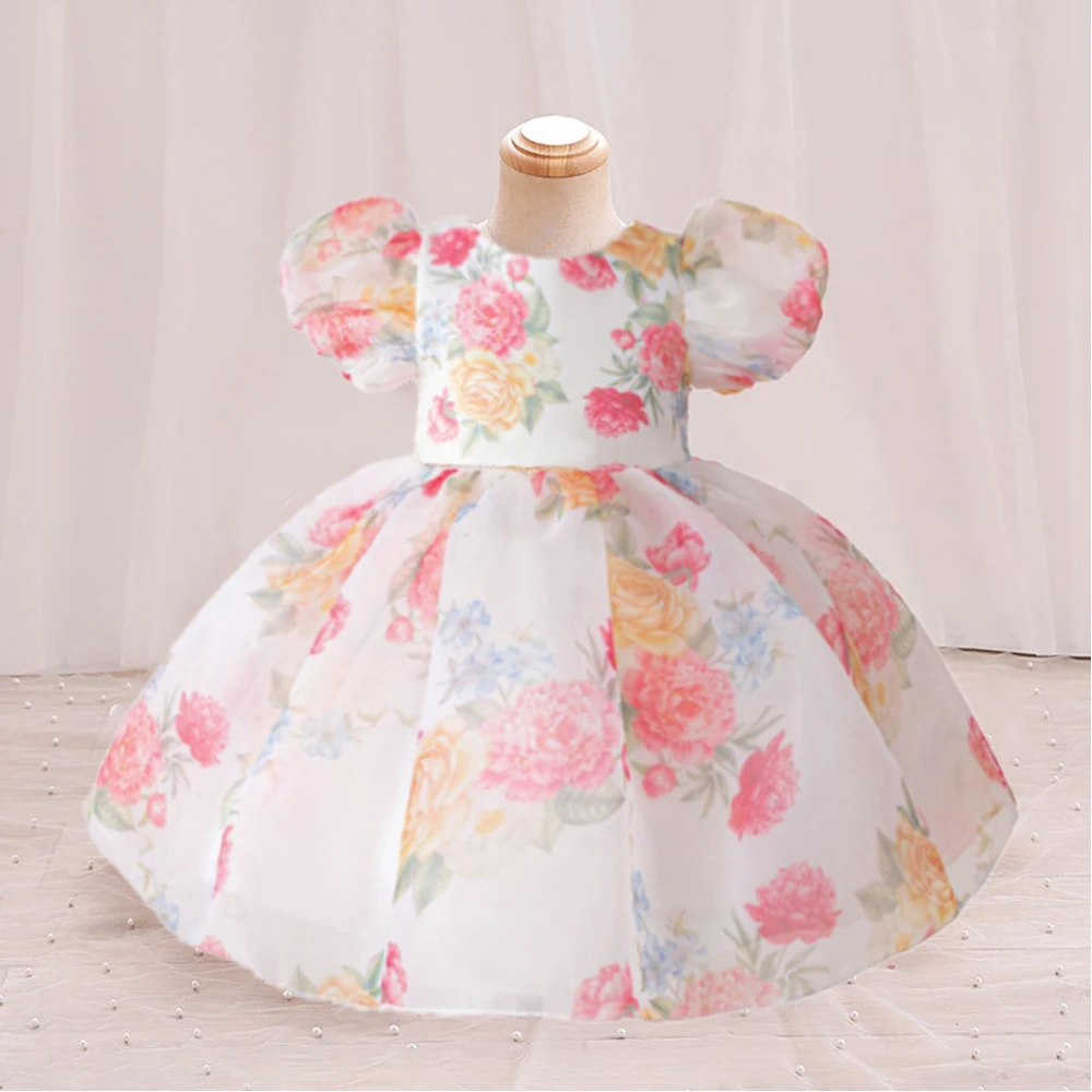 

Flower Baby Party Dresses for Girls Inafnt 1st Birthday Wedding Princess Prom Dress Big Bow Formal Gala Tutu Gown Kids Clothing