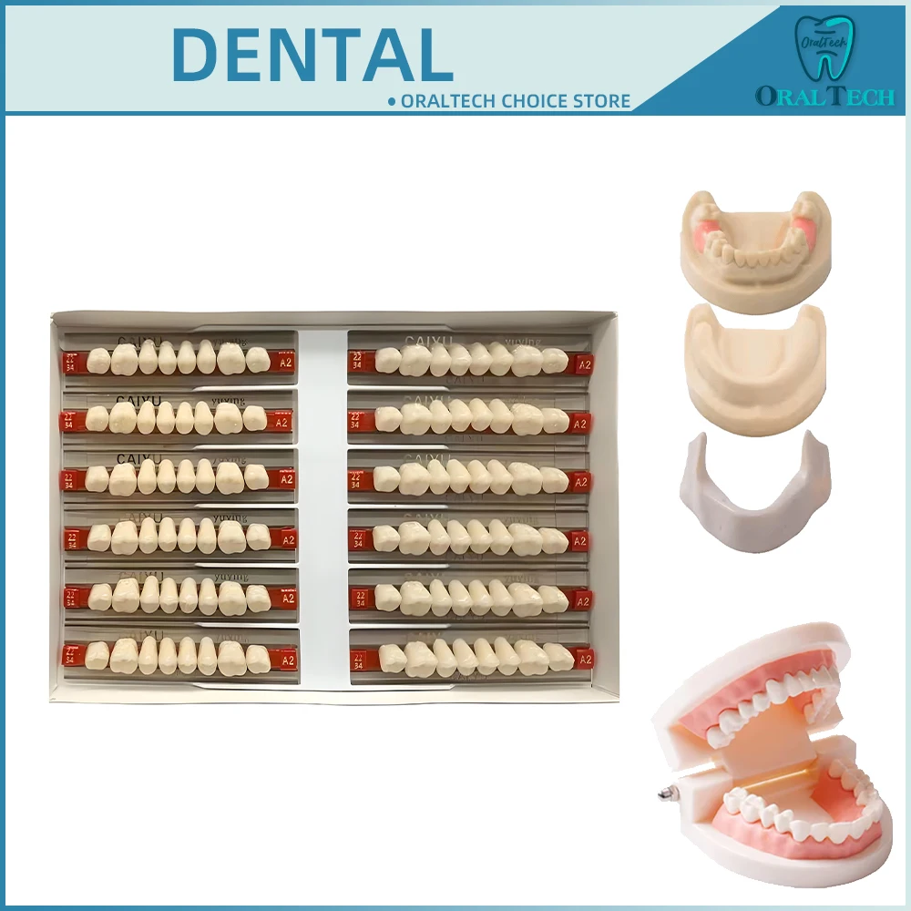 

Зубная смола, протезы, обучающие модели зубов, ремонтные синтетические передние задние полимерные A1/2/3, акриловые временные вставные зубы