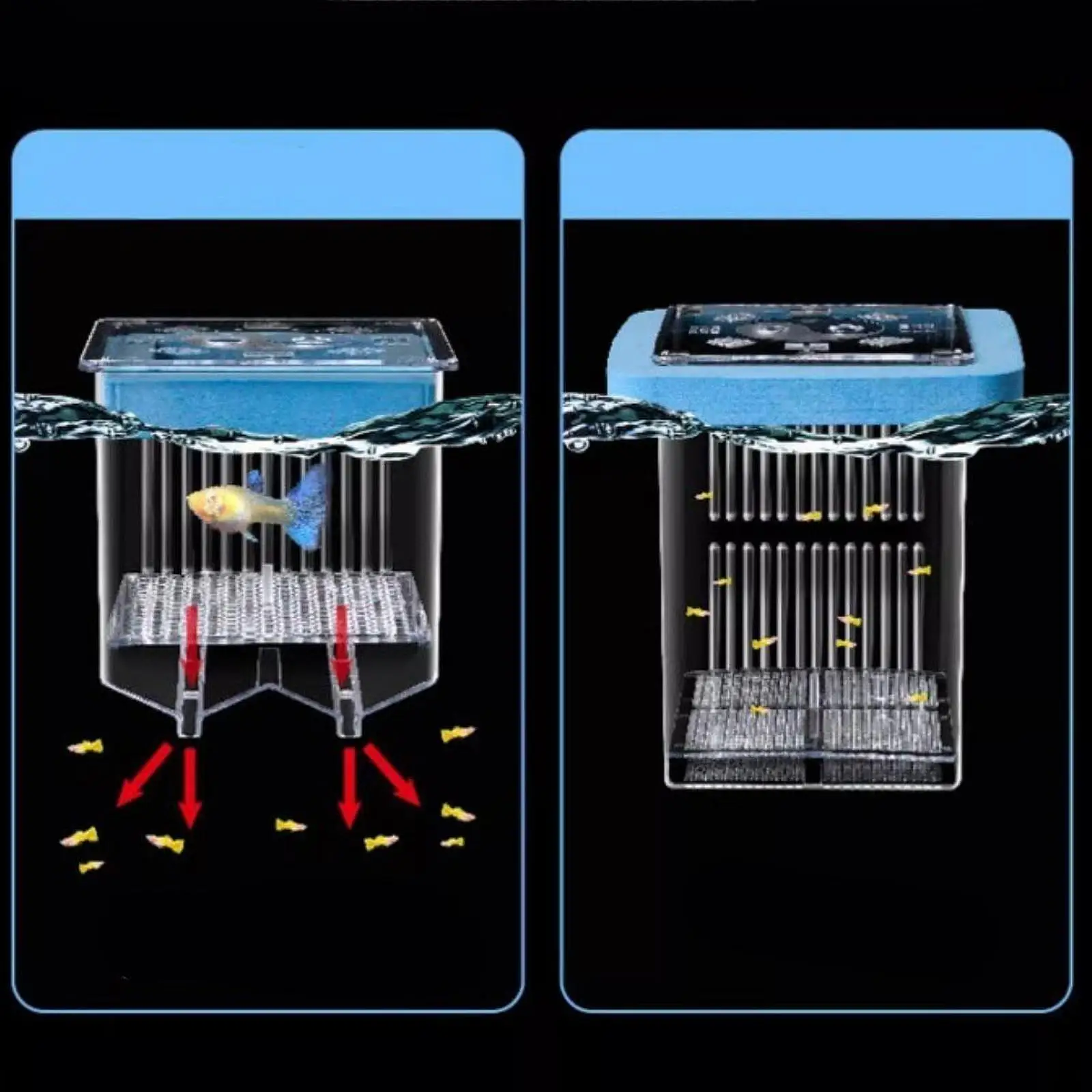 Mother Fish Incubator Fish Tank Divider Clear Frame Detachable Isolation Case Fishtank Breeder for Growing Baby Fish Home Use - Image 4
