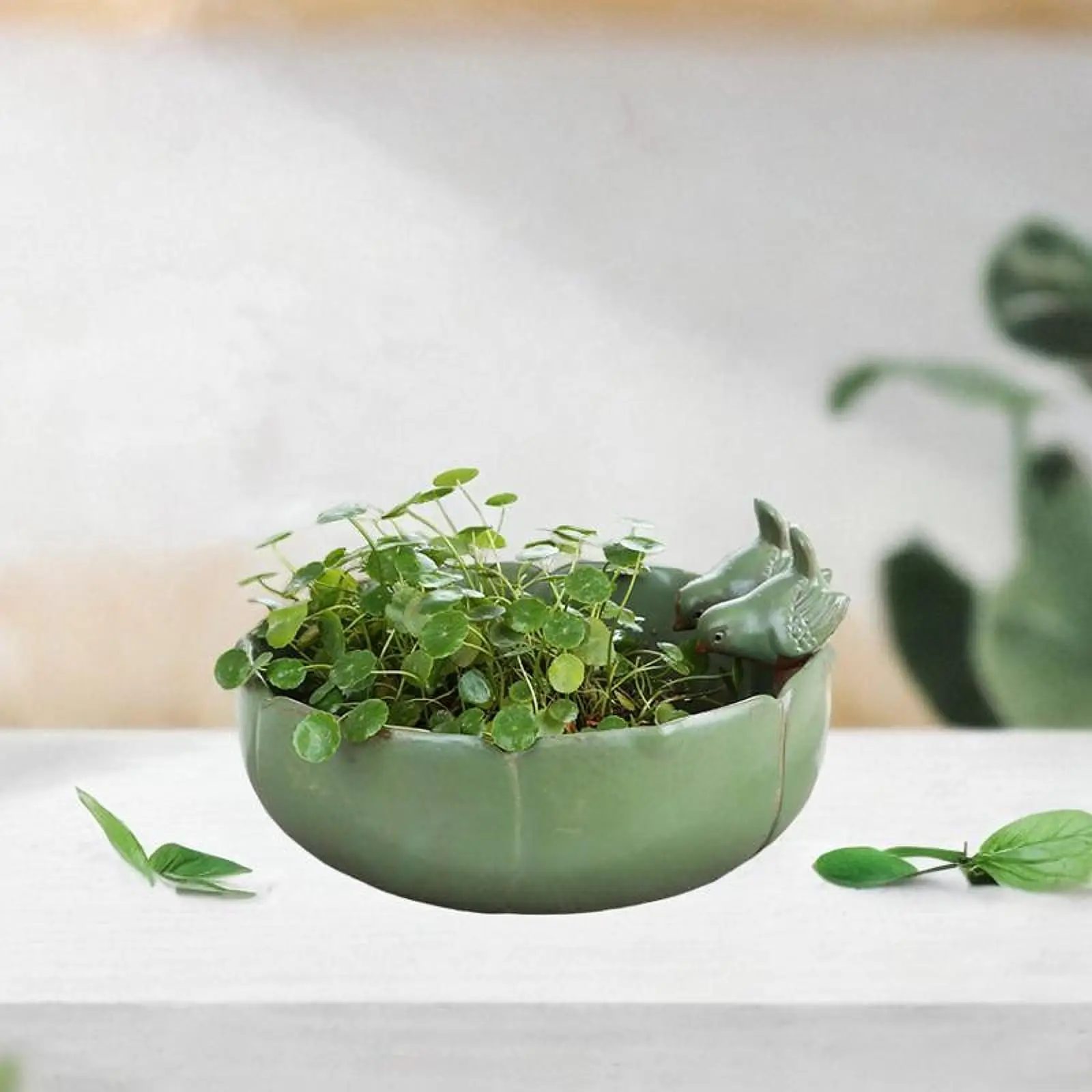 Plant Bowl Flower Pot Shallow Bowl Pot Gift Ideai for Mother and Christmas Round Planter Bowl Living Room