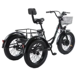 20-calowy elektryczny rower trójkołowy 48V 500W Snow Fat Tires 3-kołowy elektryczny rower towarowy dla osób starszych Zdejmowany akumulator