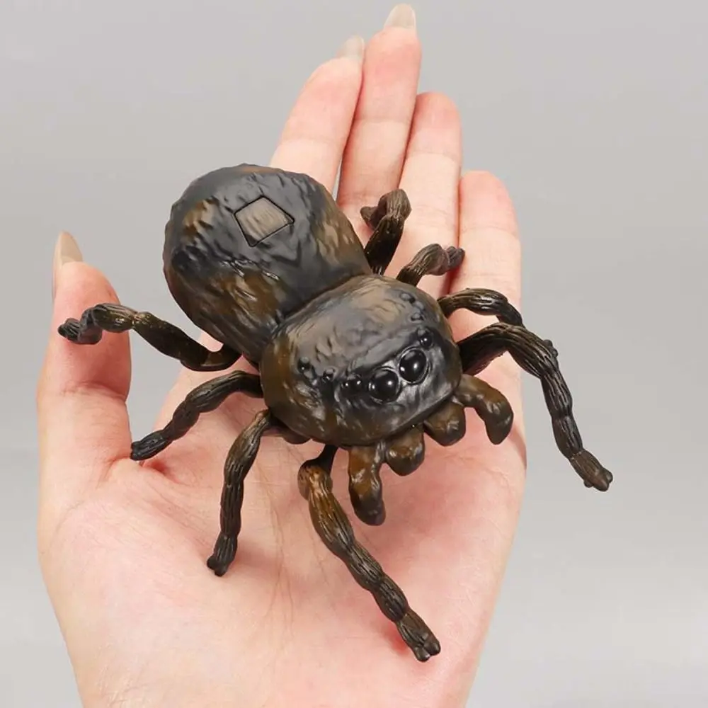 Insetto a carica manuale: modello realistico di scarabeo cicada in plastica, simulazione di insetto a catenella a spirale