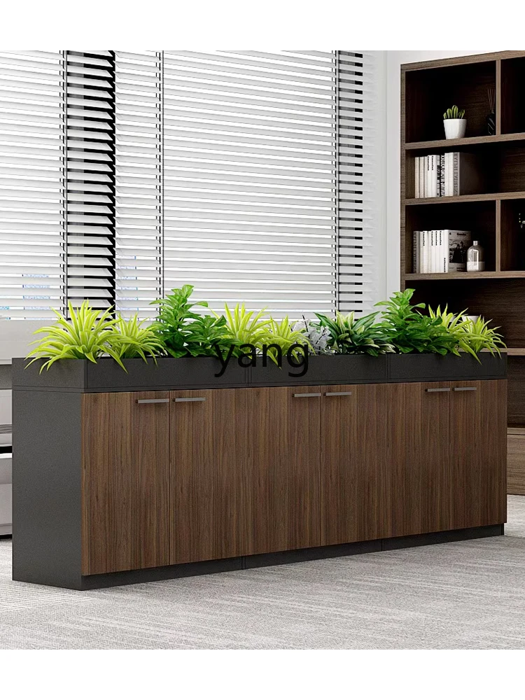 Ltt2 Office Insurance File Cabinet Storage Low Cabinet Multifunctional Partition Data Cabinet