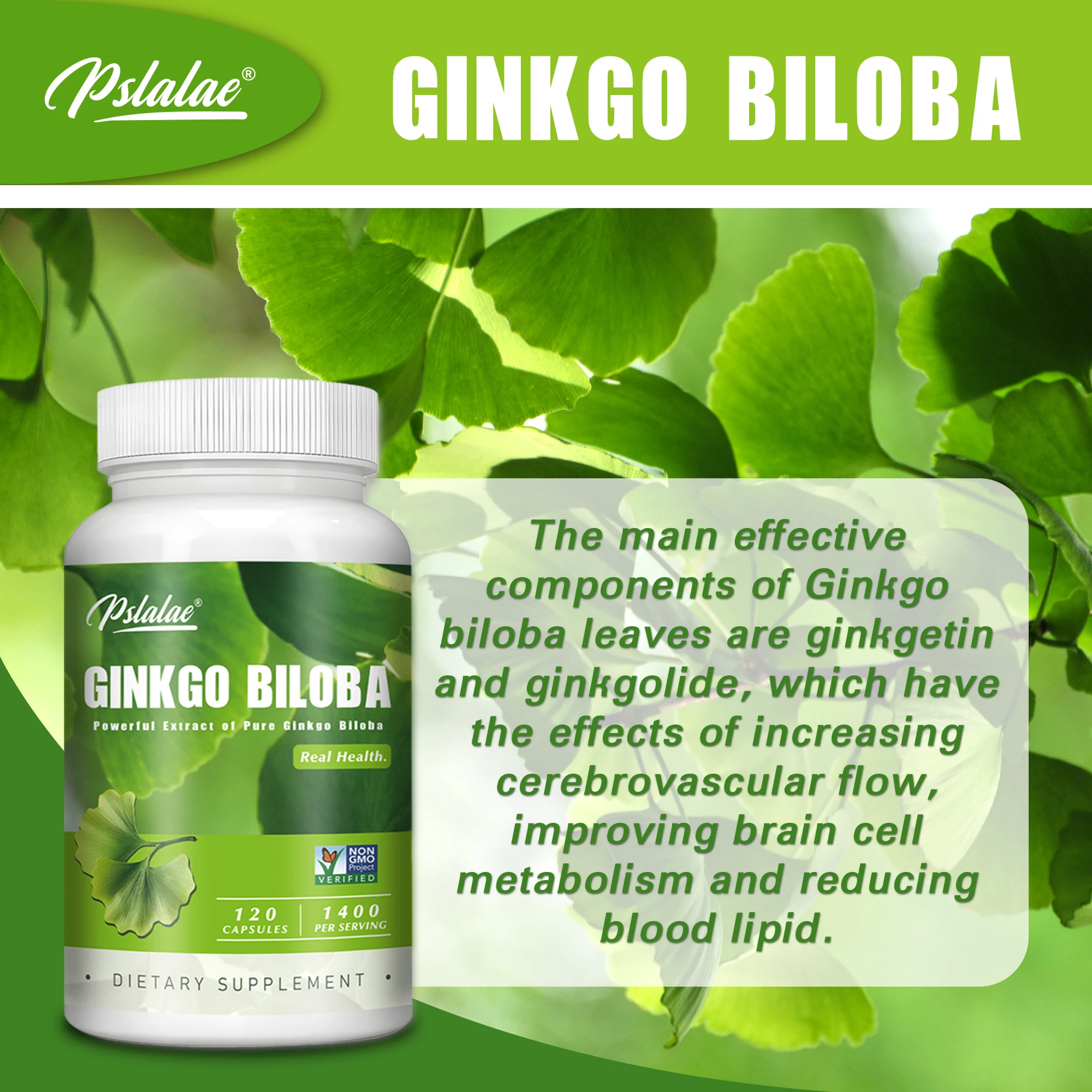 Ginkgo Biloba - Focus Brain Memory Metabolism Booster and Mood Soother