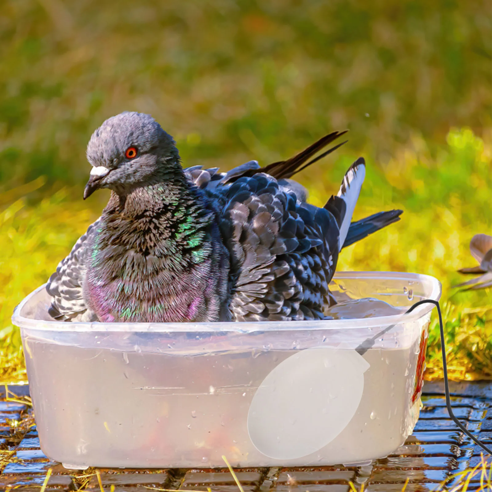 Deicer Home Bathing Warm Birdbath Tool Heated Baths For Outdoors Pet Water Useful Chicken Waterer