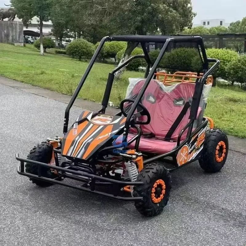 Road Legal Go Kart for Adults Adult Two Seat Buggy for Outdoor Club Karting Amusement Park off Road Go Karts for Sale
