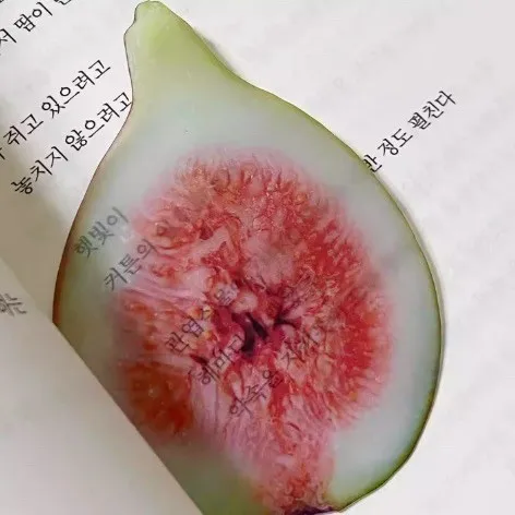 1 шт., креативная закладка на ломтик яблока с имитацией забавного дизайна, Sense для INS, фиксированная книга, фотография, мультяшная милая закладка для заметок