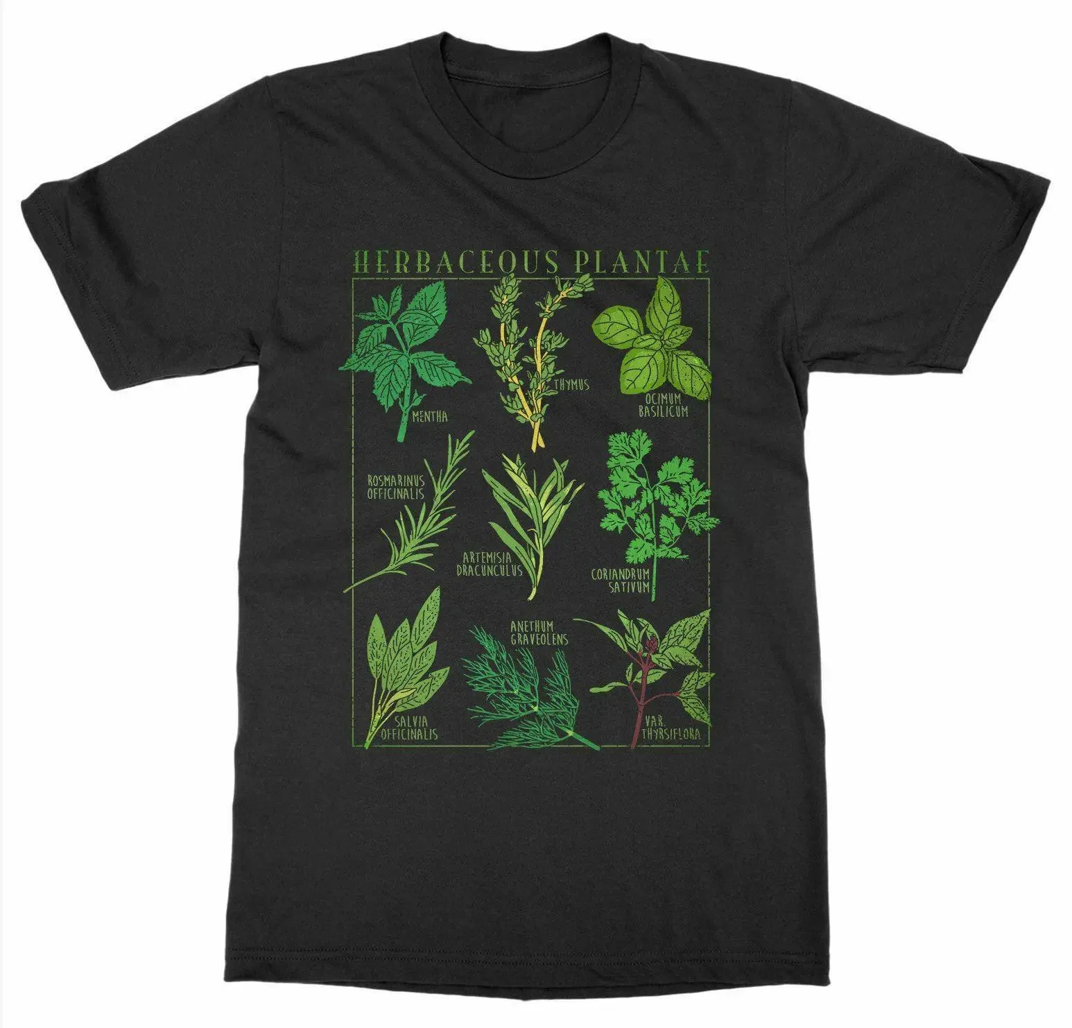 

Herbs T-Shirt Botanical Garden Plant Print Art Botany Bloom Fruit Flower Grow T-shirt Aesthetic Korean Style Ullzang Tee Men