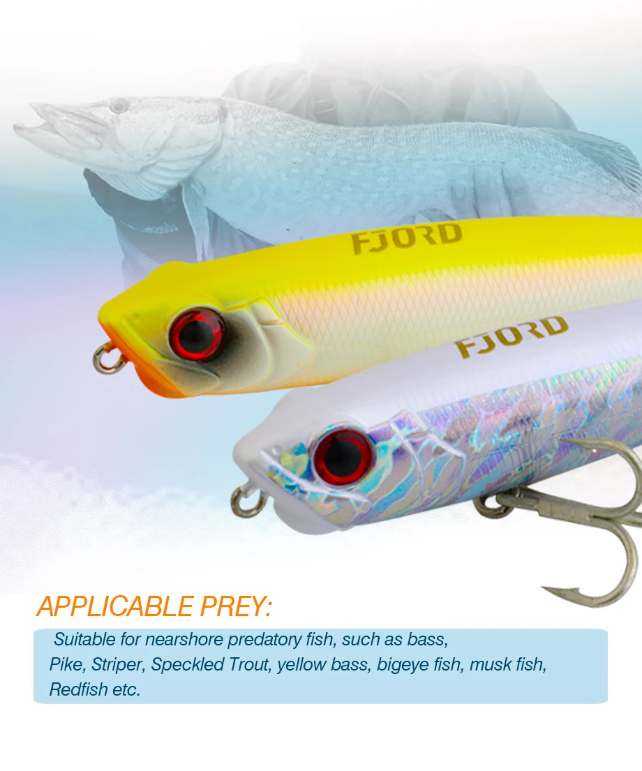 FJORD Schwimmender Bleistift 110 mm 22 g 85 mm 10 g Wobbler Topwater Walking Dog Salzwasserköder Stickbait Hechtbarsch Angelköder Tackle – Detail 5