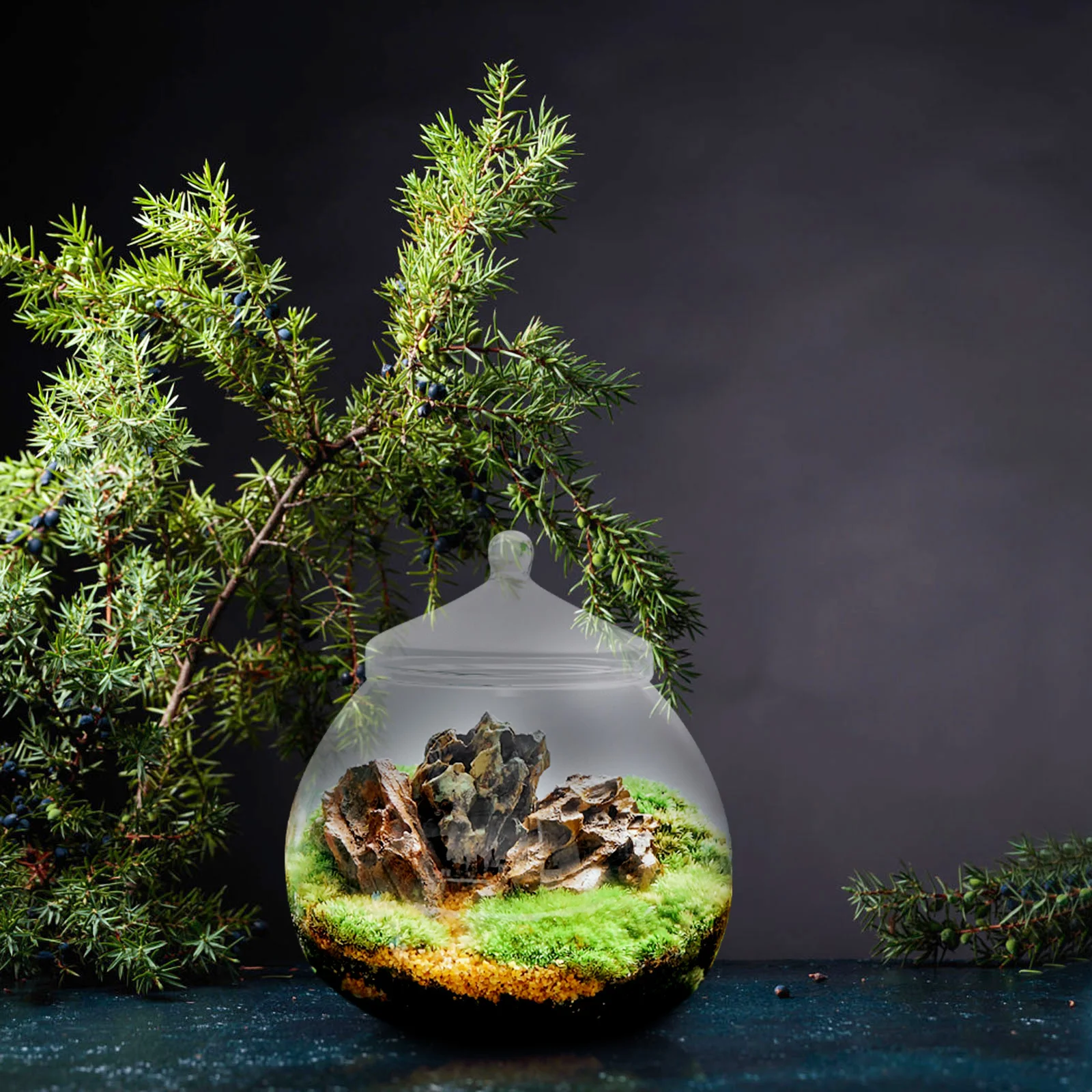 

1Set Glass Terrarium Bottle DIY Landscape Crafts Micro Landscape Holder Clear View Home Office Decoration Accessory