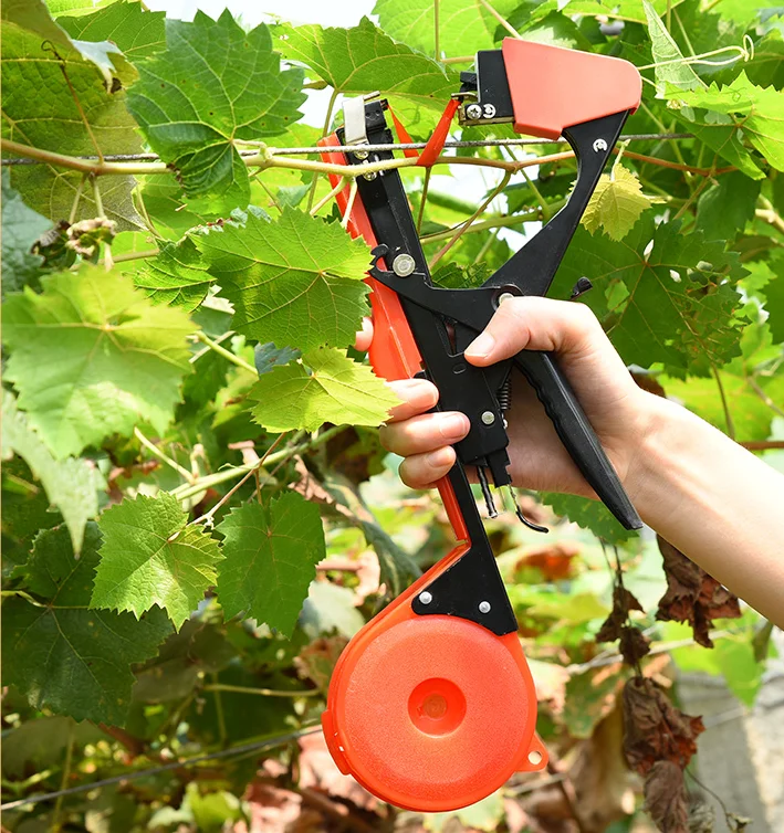 

New agricultural tomato tomato branch binding machine vegetable cucumber grape vine binding device nail tape binding vine