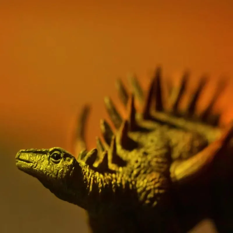 

Huayang Dragon Dew Evening Dinosaur King Growth Companion Model 19 Dinosaur Stars on Chinese Dinosaur Stamps