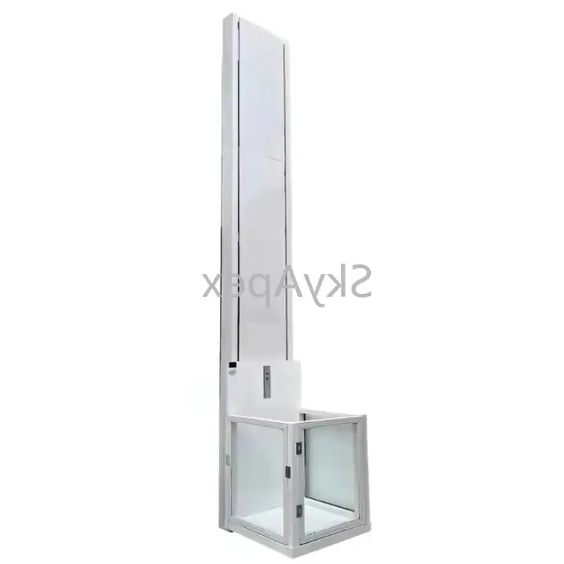 Customized Small Electric Home Elevator Handicapped Indoor Steel Material Wire Rope Sling Retail Solution Safety CE Easy Install