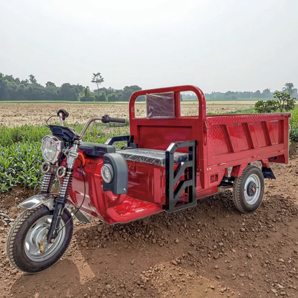 New 1000W 3-Wheel Electric Cargo Tricycle 60V Voltage 400kg Payload Capacity Steel Body for Adults