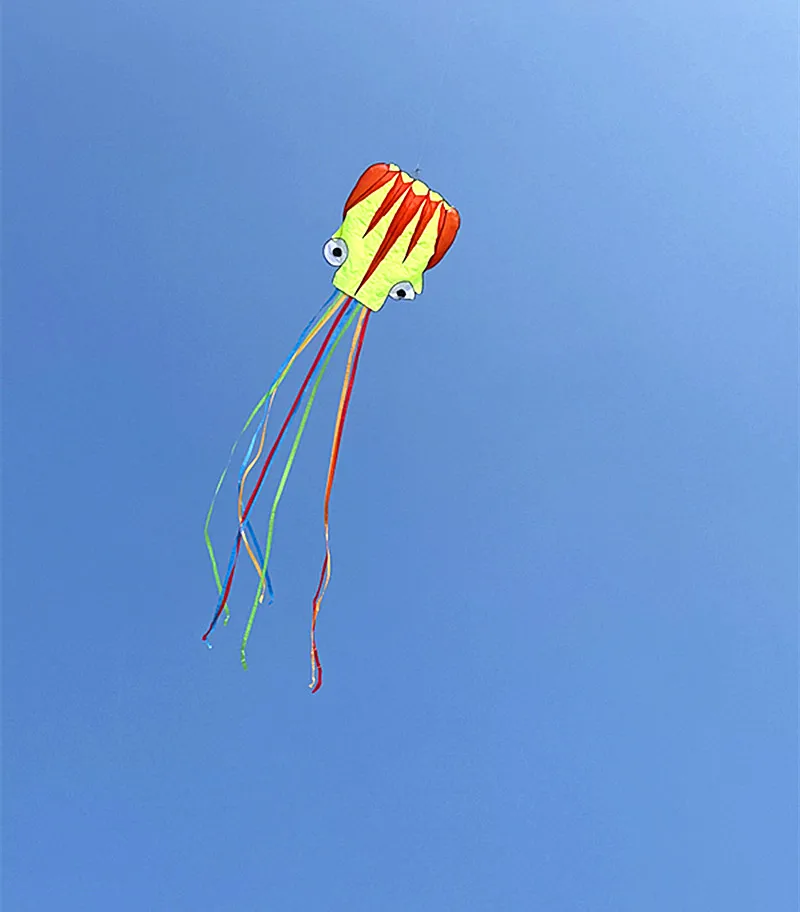 Gratis verzending octopus kite outdoor speelgoed kite flygen erwachsene vliegende kite kite kite kite professionele parachute hoka