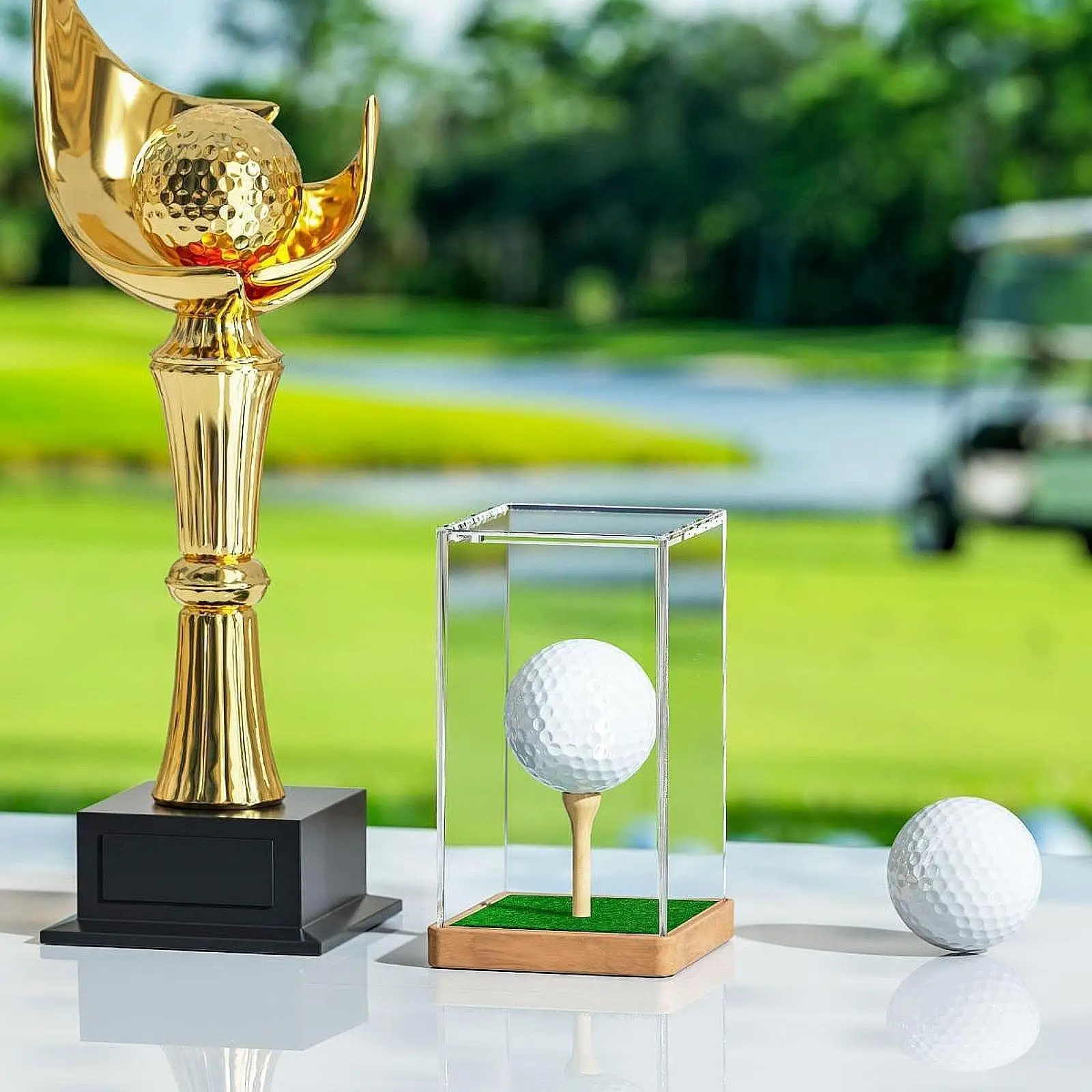 

Golf Ball Display Case Holder Golf Protection Cover for Single Ball Earphone