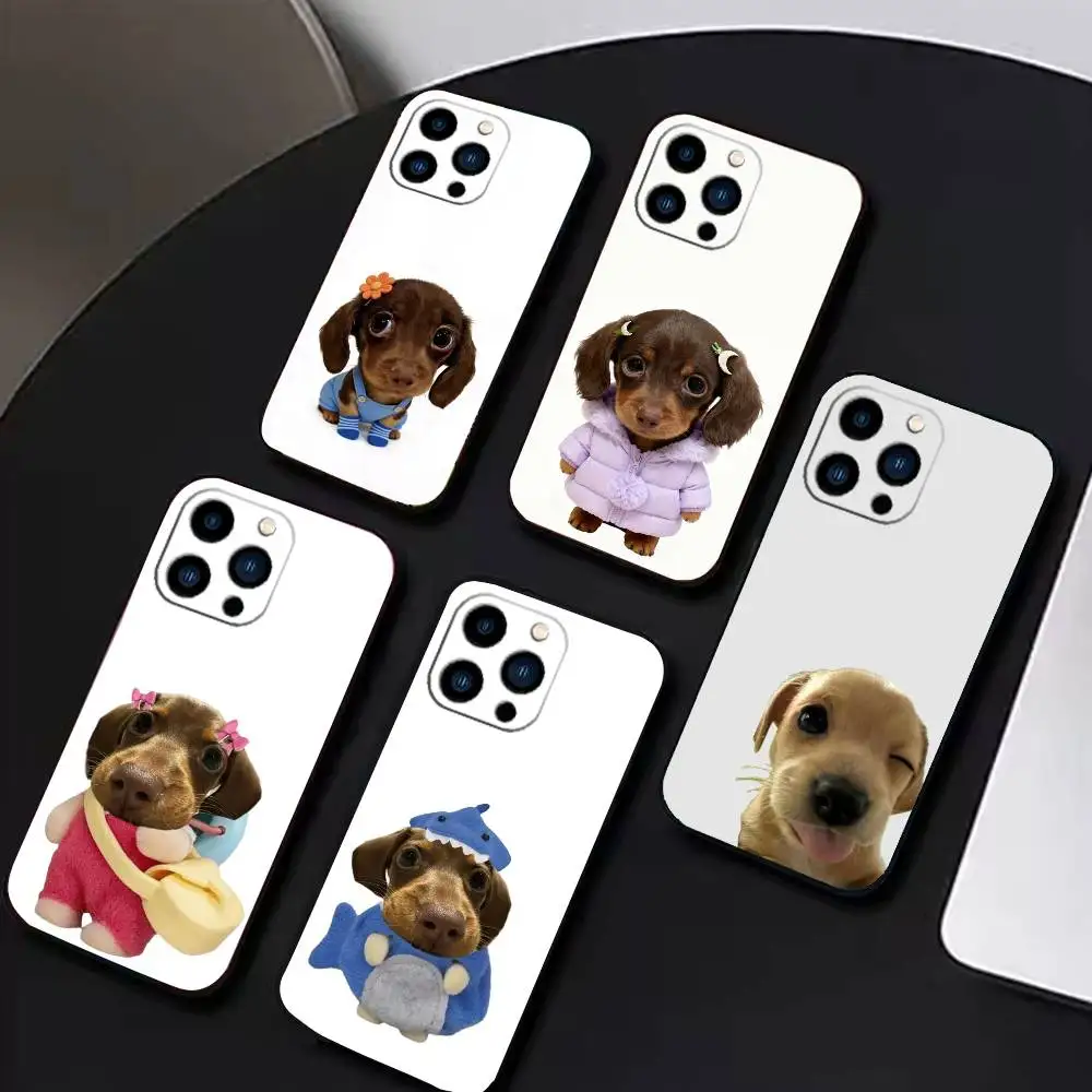 Goofy Dogs Big Eyes…