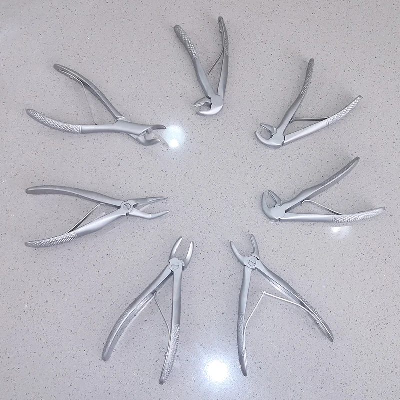 Stainless Steel Manual Veterinary Special Pet Tooth Extraction Pliers Dental Instrument Set with 1 Year Warranty
