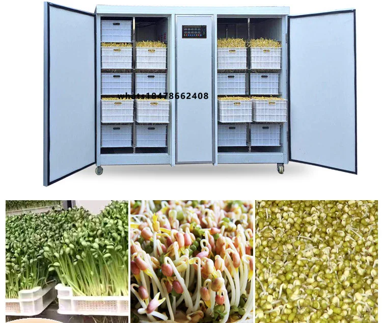 Intelligent High Multi-Sprout Cultivation Machine Automatic Watering 400KG Capacity 100kg Daily Output Sprout Growing Cabinet