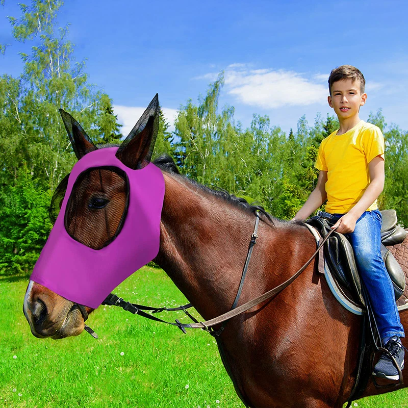 Mehrfarbige Pferde masken Anti-Fliegen würmer atmungsaktive dehnbare Strick gitter Anti-Mücken schutz maske Reiten Reiten