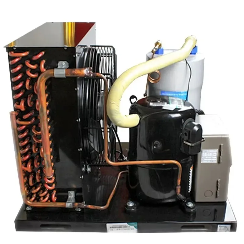 

2026 Dual-temperature-controlled Chiller 1hp Swimming Pool Chiller for Machine Ice Baths.cold Plunge Tubs Tube Ice Machine