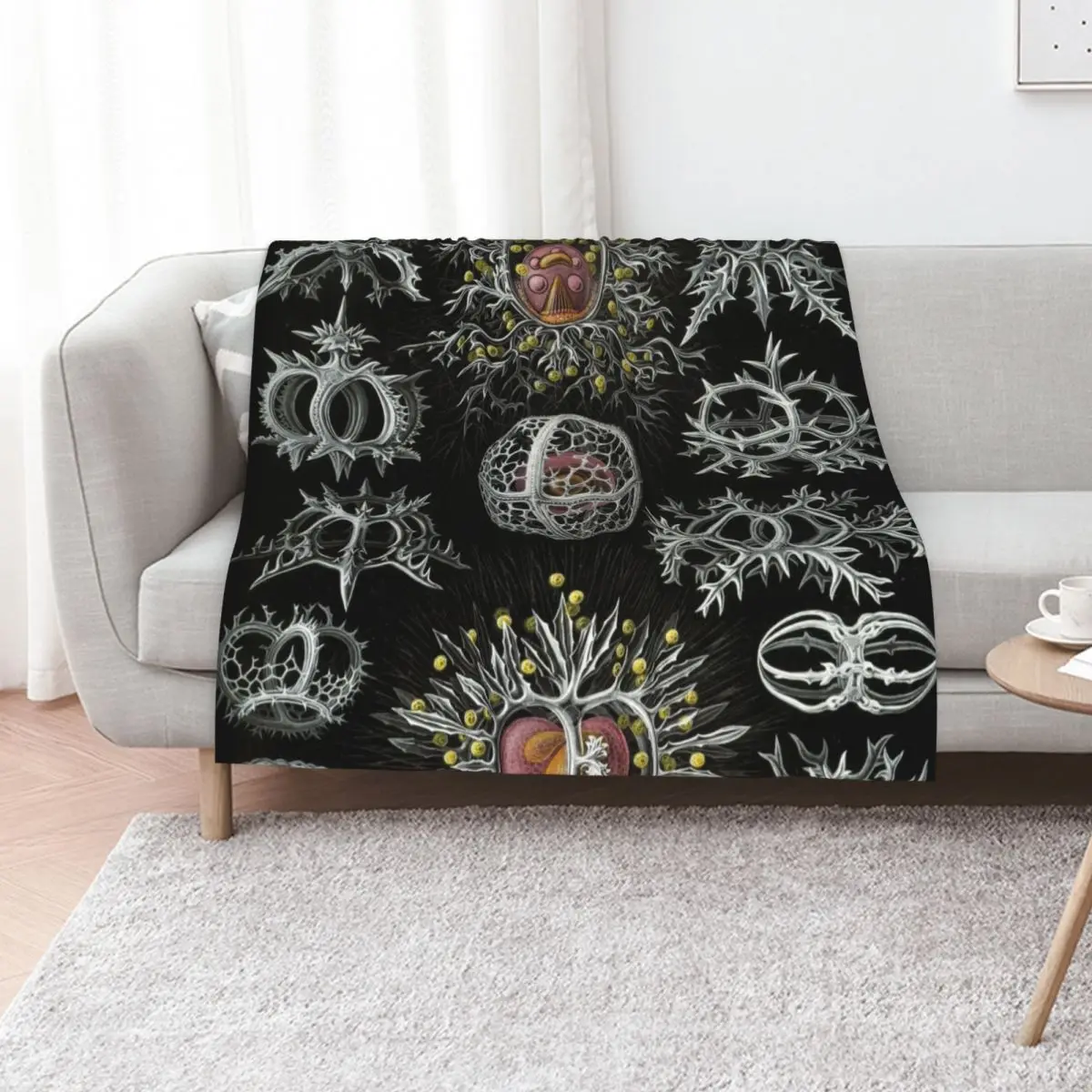 Haeckel Stephoidea Drawings Throw Blanket anime Blankets Sofas Of Decoration Shaggy Sofa Throw blankets ands Hair Blankets
