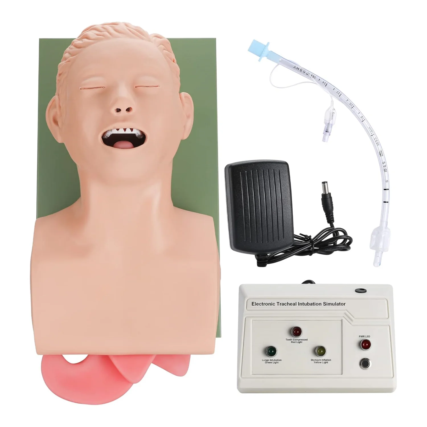 220V 110V Adult Airway Management Trainer Tracheal Intubation Training Simulator Model Airway Managment Trainer with Tube