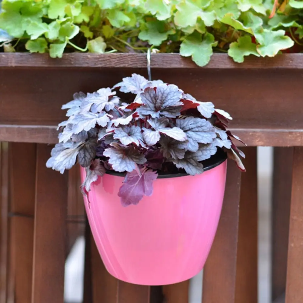 Self Watering Flower Pot Solid Color Automatic Water Absorption Hanging Basket Plant Storage Holder Vegetable Plate Wall Hanging