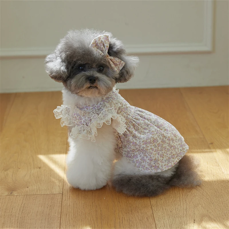 Hundekleid mit Blumenmuster, S – Lace Teddy Lingerie Bewertung und Preis
