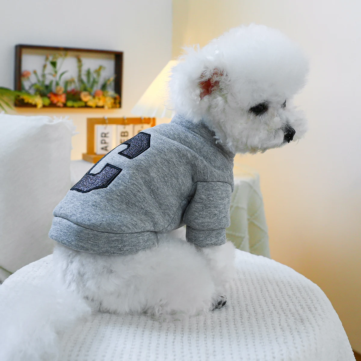 1PC Pet Clothing Cat Spring and Autumn Plush Thickened Warm Letter Solid Gray Coat Suitable for Small and Medium Dogs