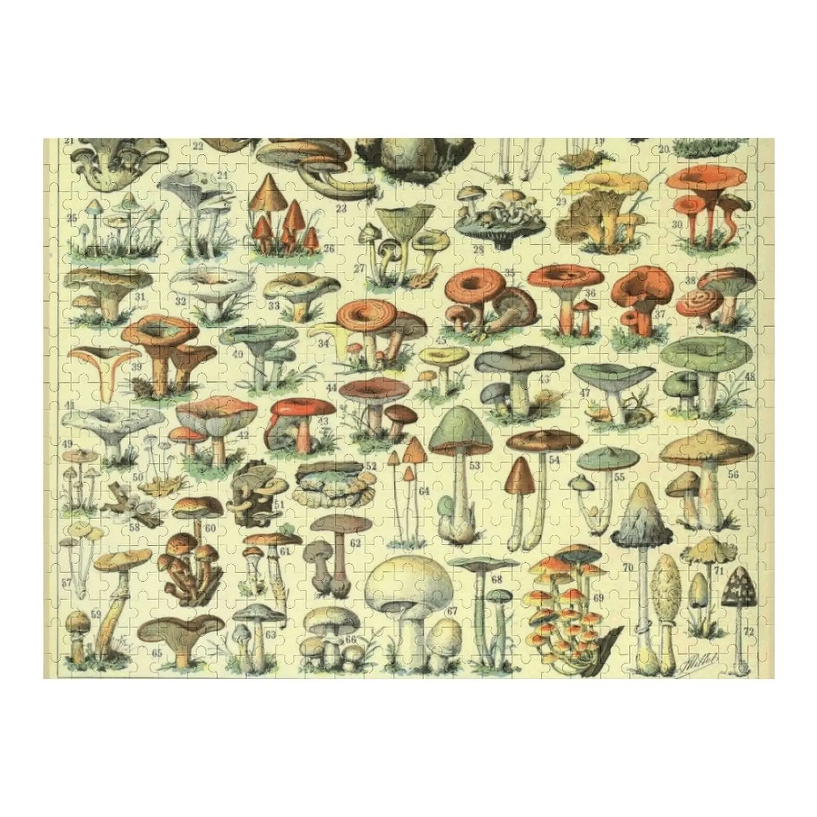 أدولف ميلوت Champignon B بازل قطع ديوراما اكسسوارات تخصيص هدية هدايا مخصصة للأطفال لغز