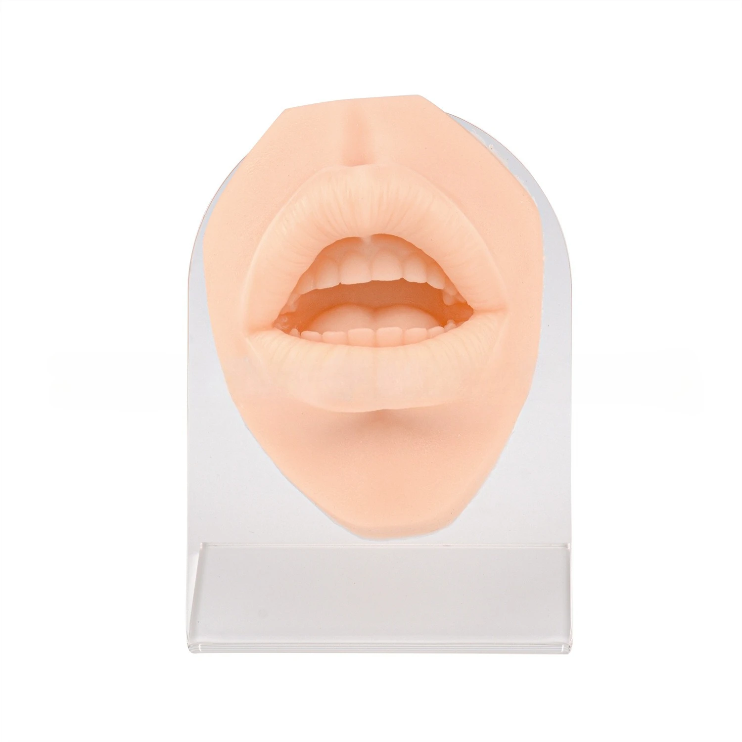 Simulated human mouth model, suture perforation and puncture practice mouth model