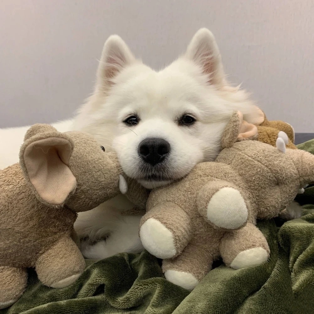 4Pcs 12MM Wheel Hex… - image