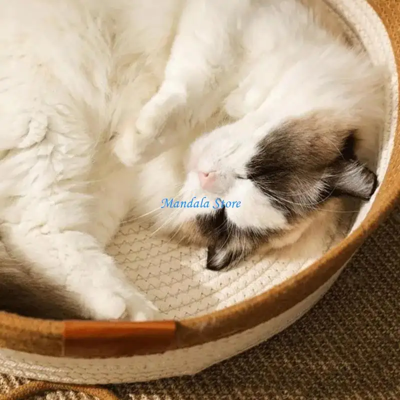 

U2JC Creative Kittens Play Pad Scratch Resistant Nest for Kittens Cartoon Kittens Comfortable Mat Multiple Color