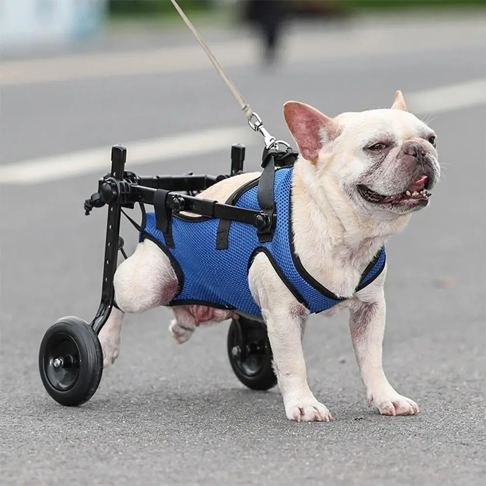Adjustable Pet Walk Booster Walking Wheels Light Dog Wheelchair Cart Durable Blue Cat Recovery Aid Car Disability Dog