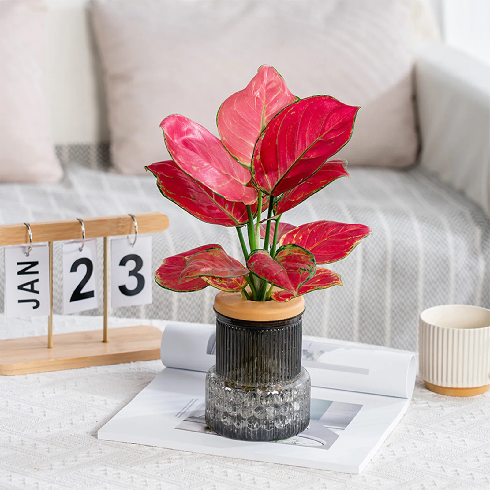 Desktop Hydroponic Vase Ornaments with Lid Hydroponic Plant Propagation Terrarium for Garden Enthusiast Lover Gift