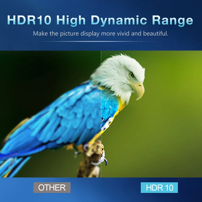 ATV Q1 H313 Quad Core Dual Wifi  AndroidTV 11 TV Box 8GB 16GB 2.4G / 5G BT5.2  Set Top Box Media Player