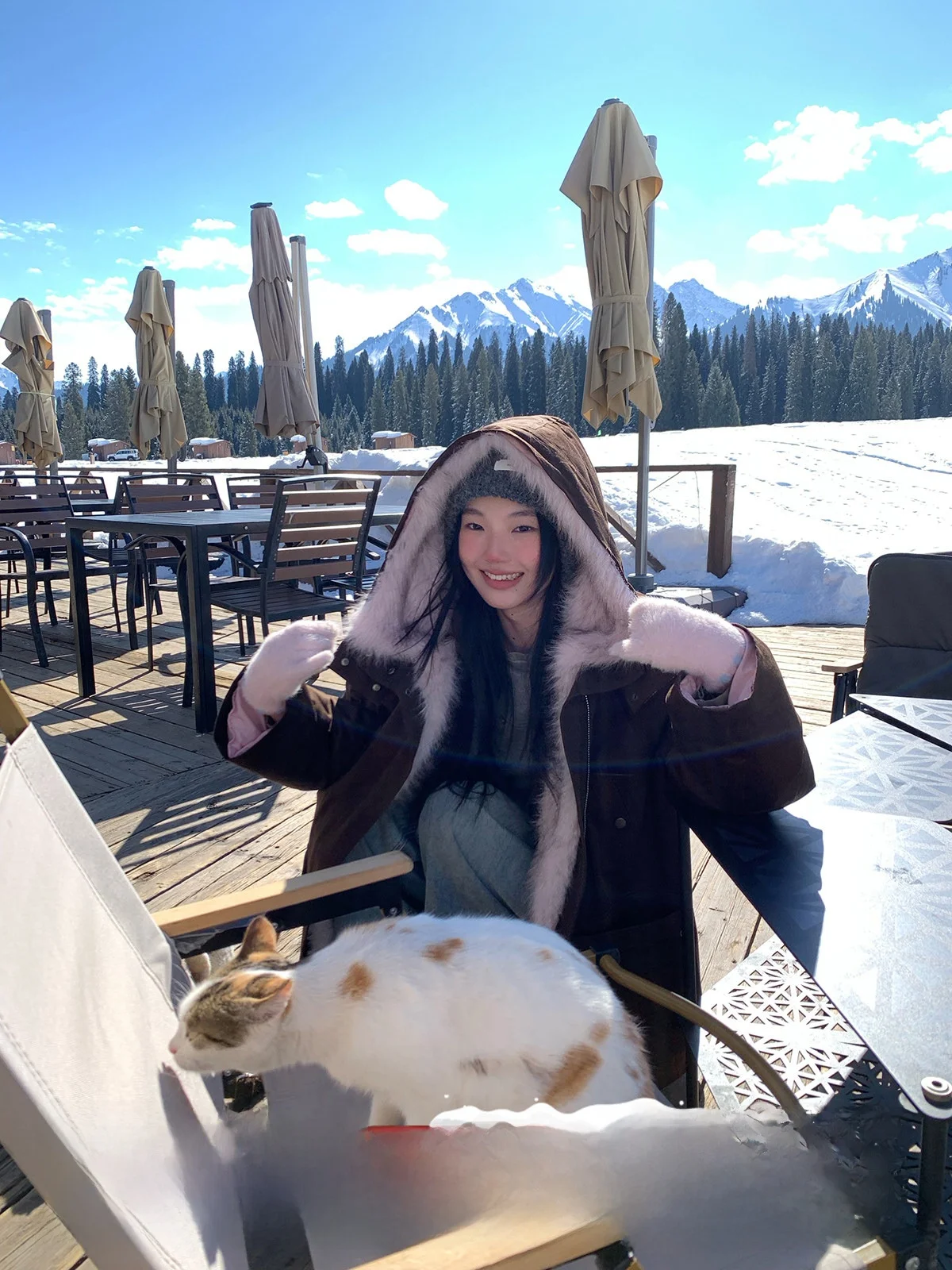 

Женская теплая куртка с капюшоном на осень-зиму, коричневая, повседневная, из полиэстера, с длинными рукавами, на молнии