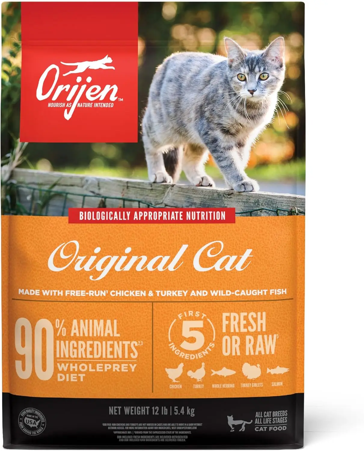 Grain Free High Protein Premium Dry Cat Food Original Recipe 12lb Bag