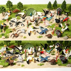Simulated Bald Eagle Owl Pelican Parrot Swan Birds Hand Painted Model Toy Figurine for Kids' Collection Science Educational Toys