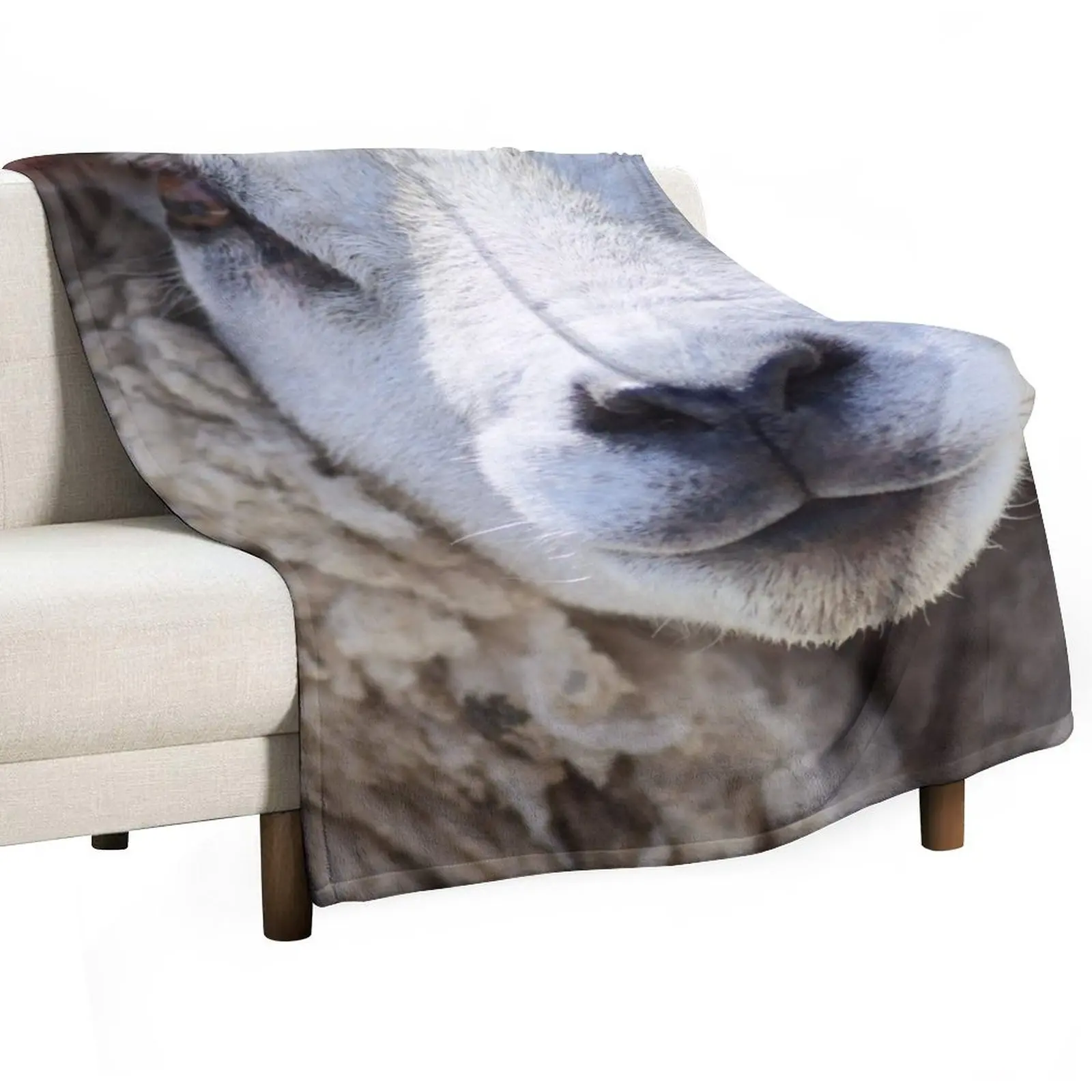 

Texel Sheep Throw Blanket Thermal Custom heavy to sleep Bed Blankets