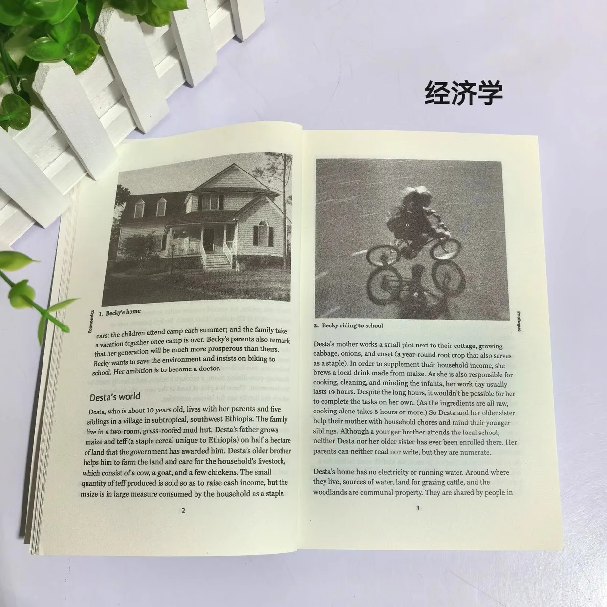 Economics A Very Short Introduction By Partha Dasgupta Paperback Book in English