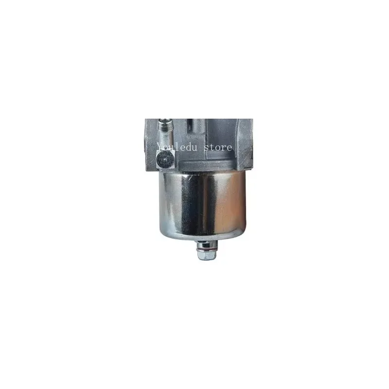 Applies To 20001171 Carburetor ST224 921024 921028 921030 LCT 254ccL15D Snow Plow