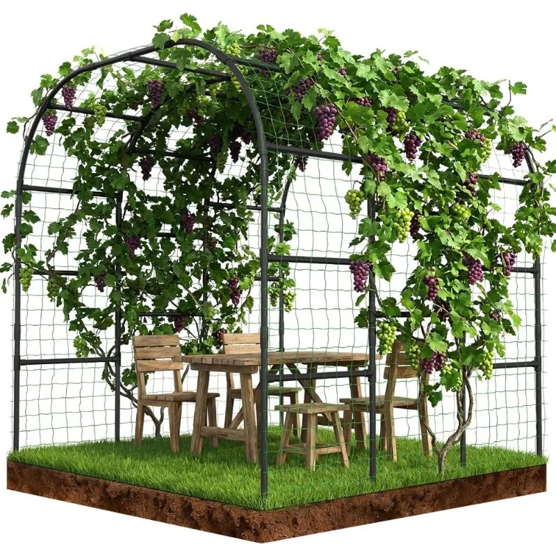 Arche de jardin pour plantes grimpantes, livraison aux États-Unis, structure métallique, grande arch