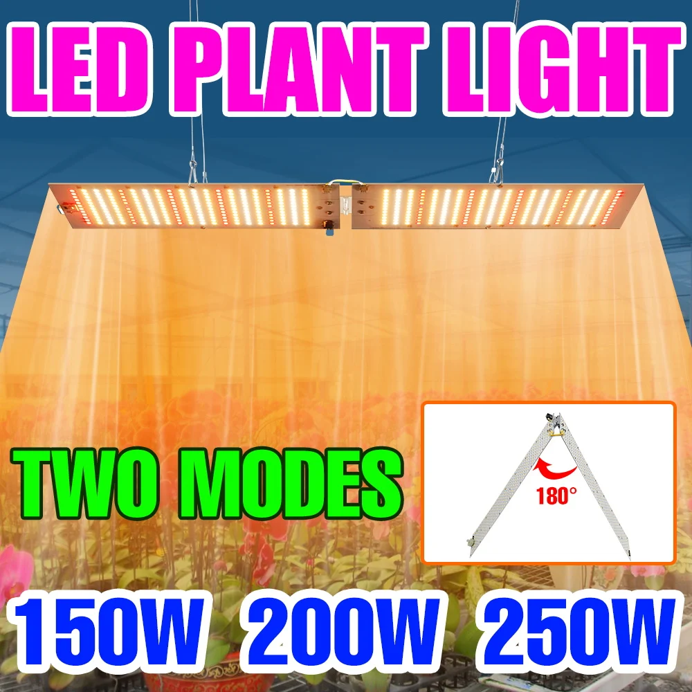 250w-led-成長ライト-フルスペクトル量子ボード水耕栽培ランプ-ac100-277v-温室野菜鉢植え苗補助照明