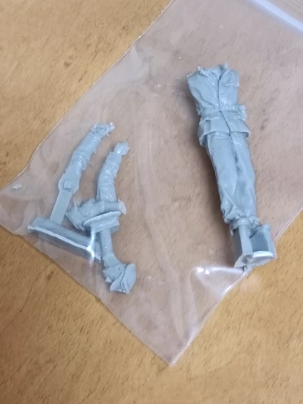 Buyer photo of this resin kit